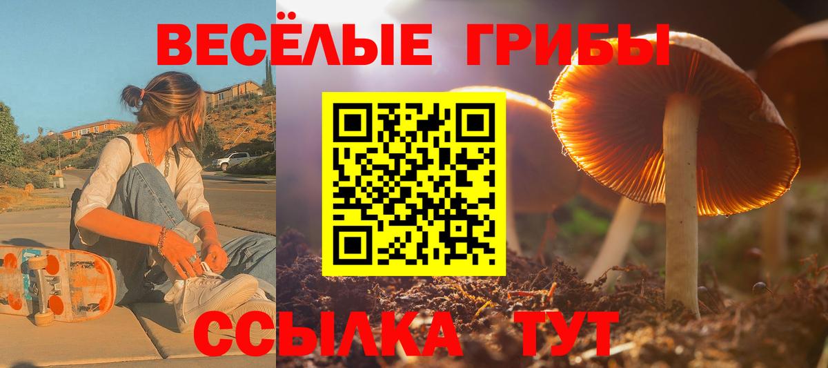 Барнаул  Галлюциногенные грибы мухоморы  Вход с VPN  Галлюциногенные грибы GOLDEN TEACHER 