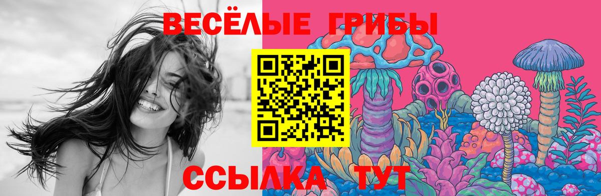 Галлюциногенные грибы Psilocybe Барнаул